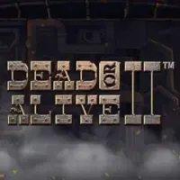 Dead or Alive 2 Slot